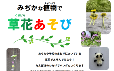 2026.5草花あそび飯干編集